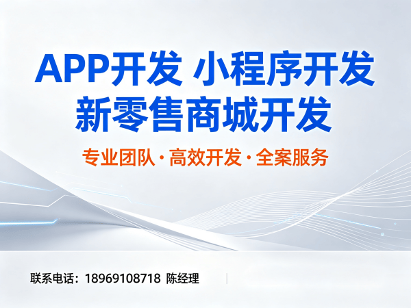 东莞社交新零售系统开发：财务报表统计解决方案
