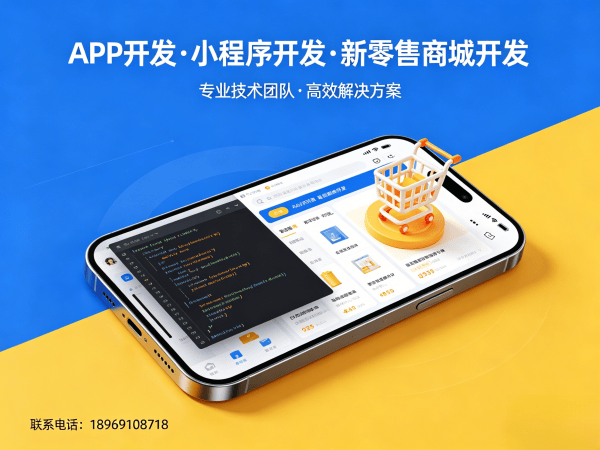 南京二二复制公排系统商城开发解决方案：助力企业实现裂变增长与数字化转型